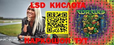 прущие грибы Тулун