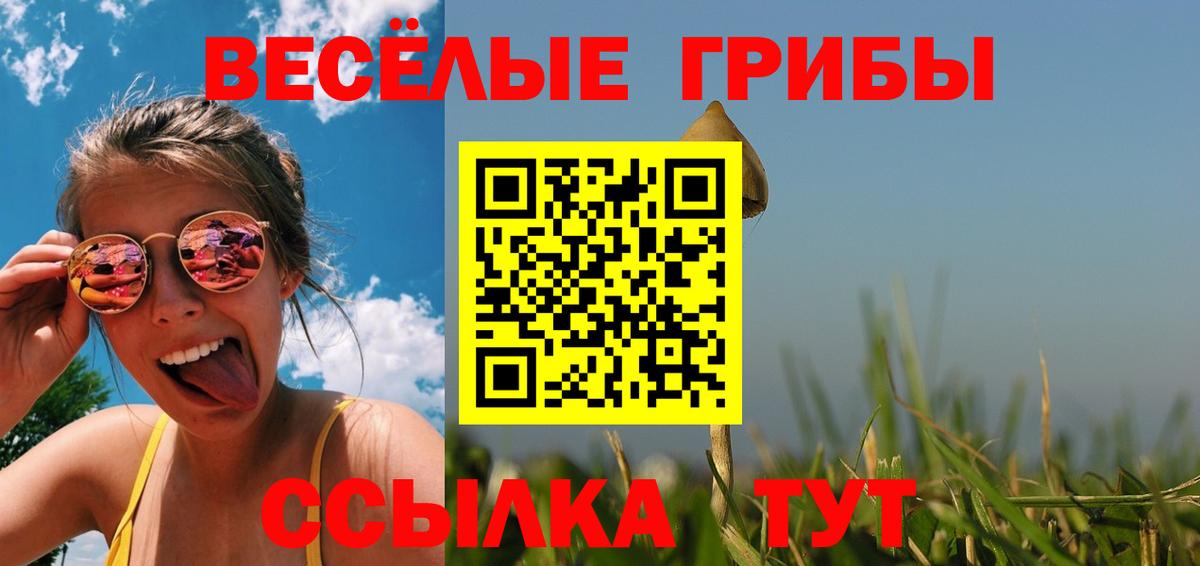 купить наркотик  Псилоцибиновые грибы Magic Shrooms  Вход с VPN  Тольятти 